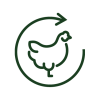 kurka